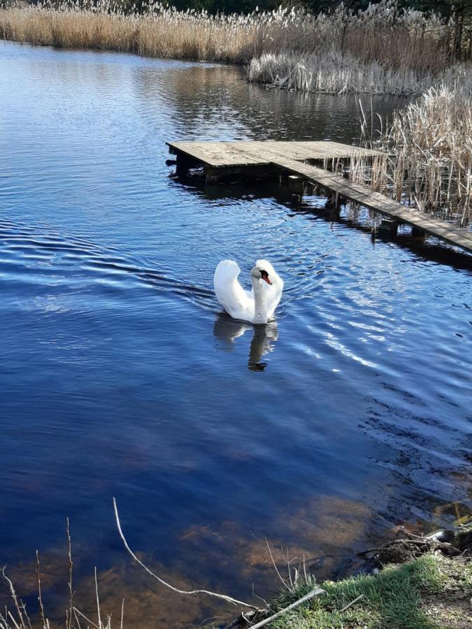 Вилла Domek Caloroczny Magjan Z Sauna Злотув Экстерьер фото